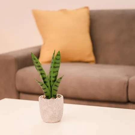 Luxury Mecenate 1 Apartment *